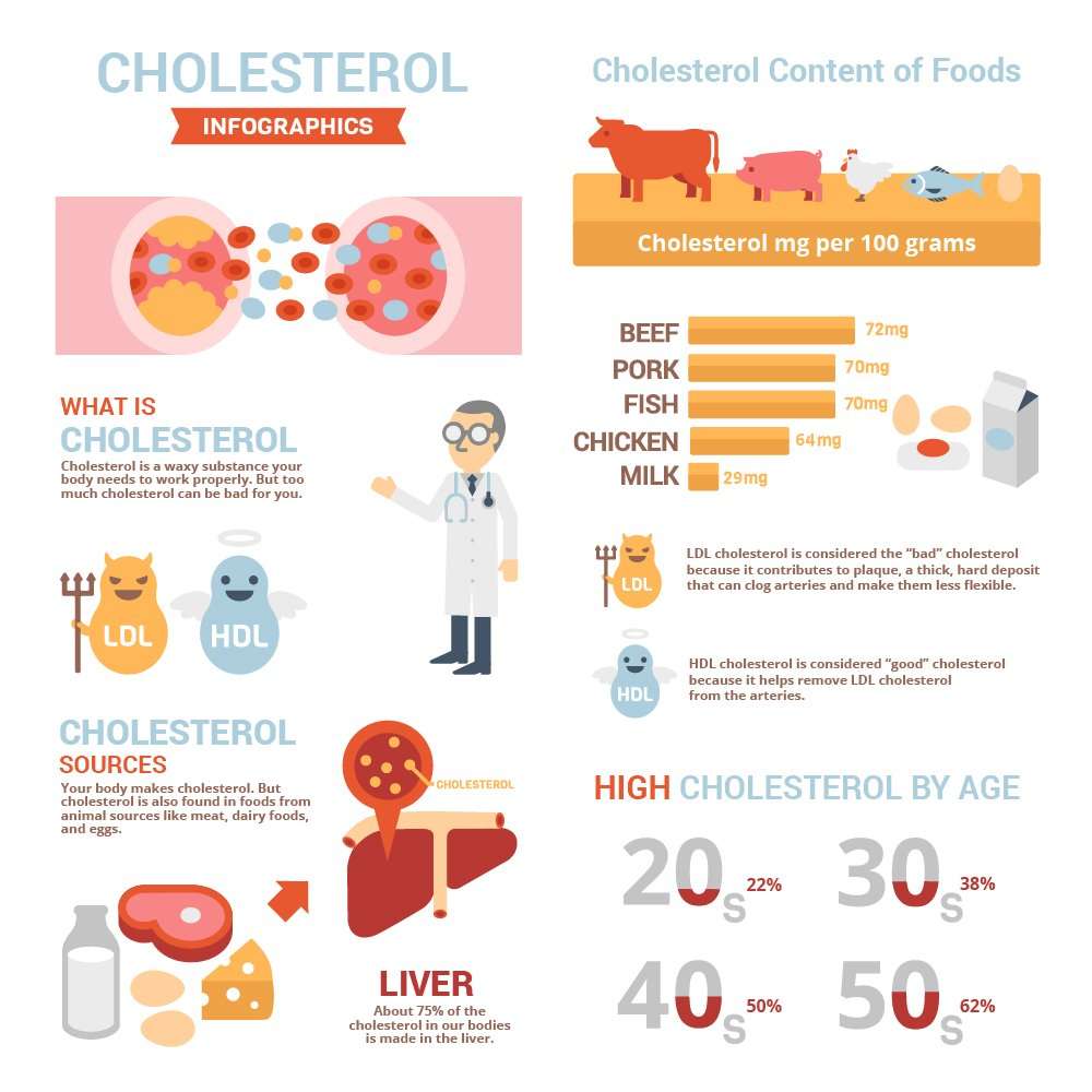 Is Cholesterol Good Or Bad For Your Health? Infographic ...