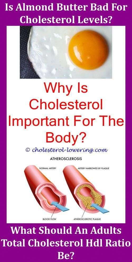 Is Squid Ink High In Cholesterol?,hdlcholesterollow is ...