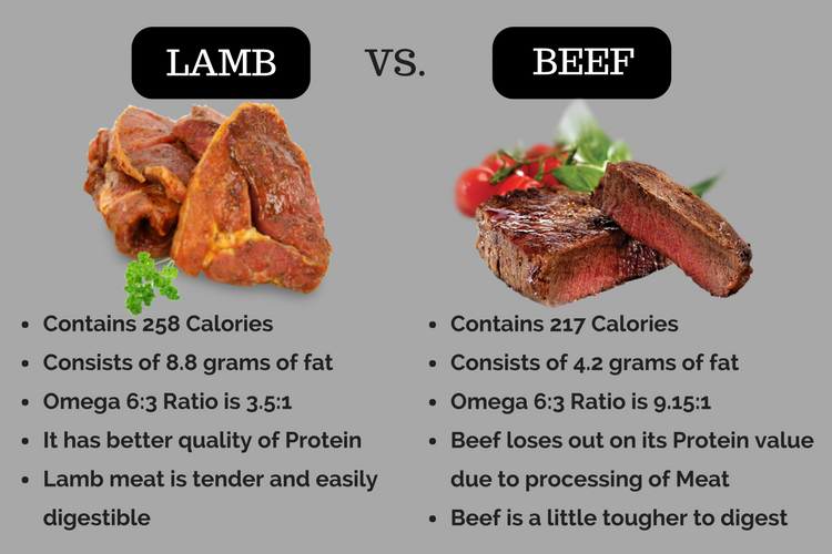 Lamb vs. Beef: Is Lamb Healthier Than Beef?