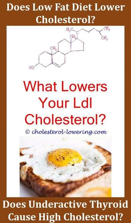 Ldlcholesterol What Causes Bad Cholesterol To Increase? What Does It ...