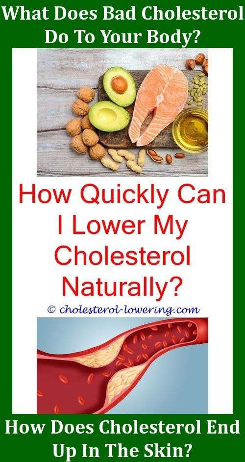 Ldlcholesterolhigh Is Cholesterol Only From Animal ...