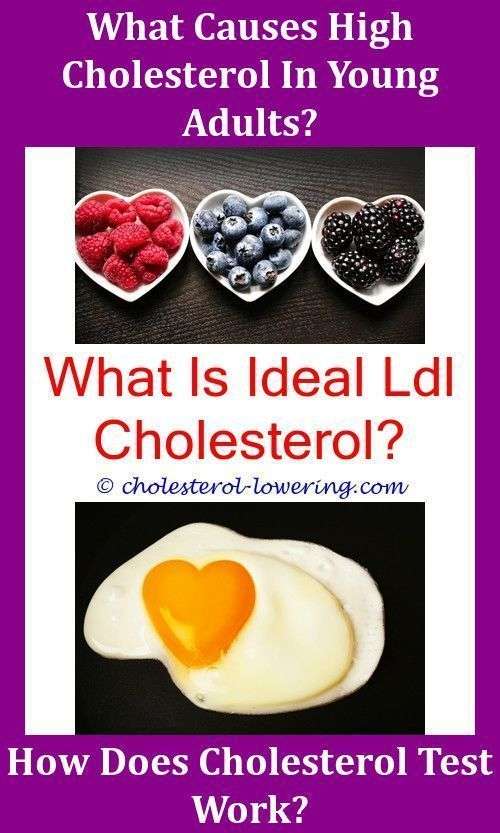 Ldlcholesterollevels Does Chalaza Of Egg Contain ...