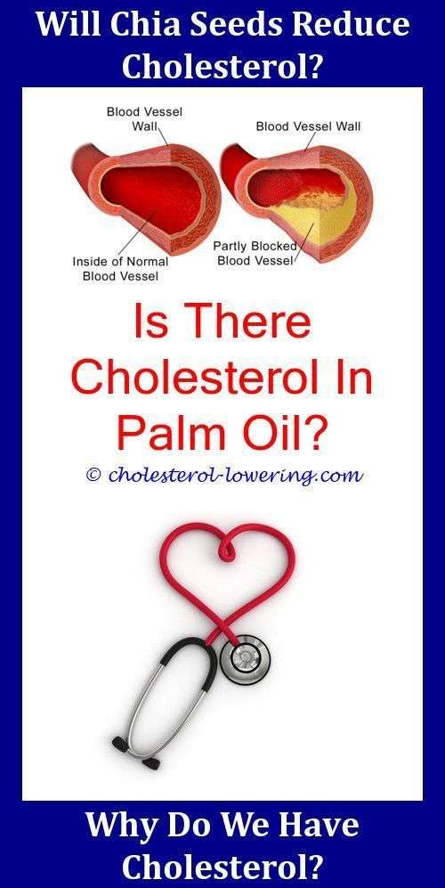 Lowcholesterolrecipes Does Your Body Make Cholesterol At ...