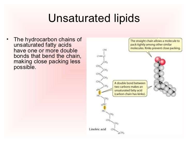 Macromolecules lipids