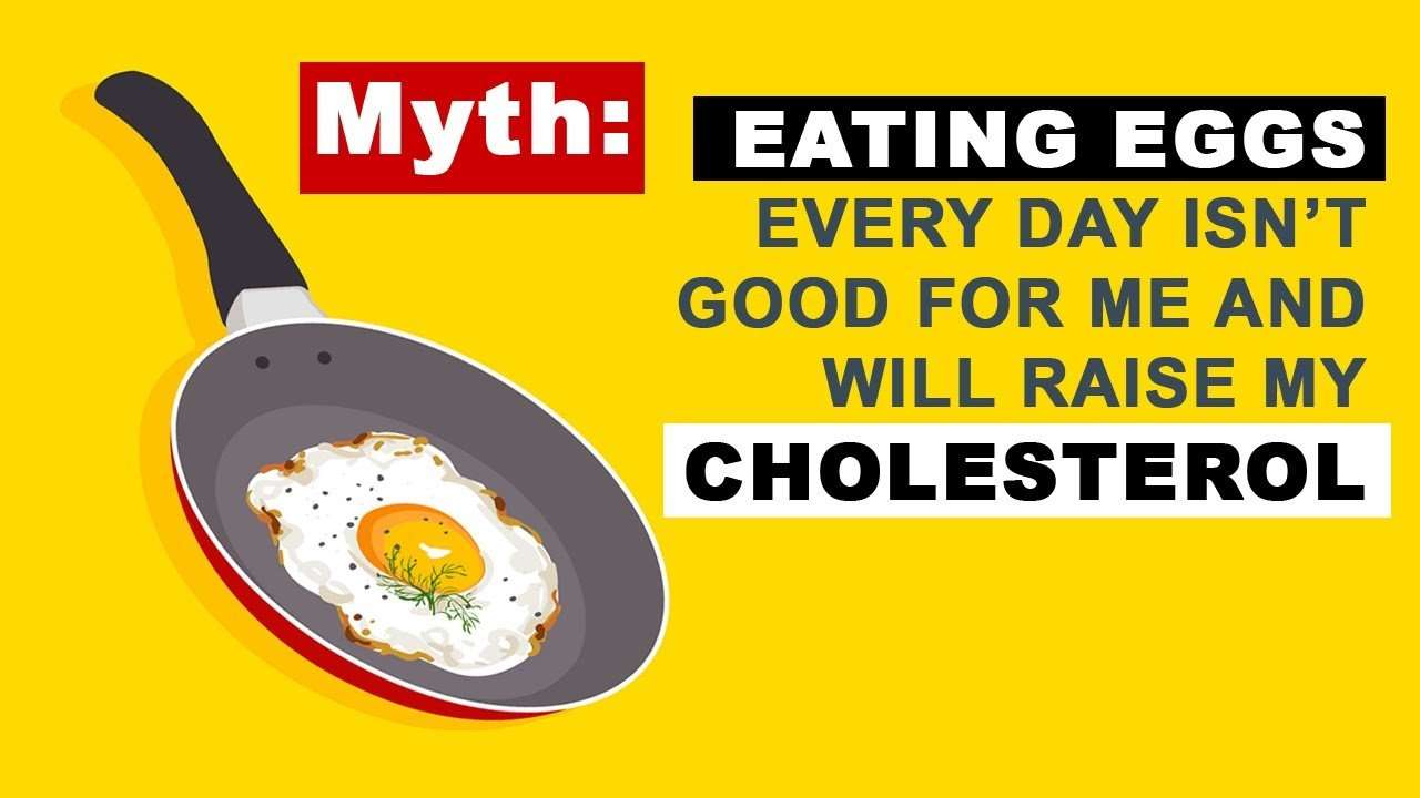 Myth: EATING EGGS EVERY DAY ISNT GOOD FOR ME AND WILL ...