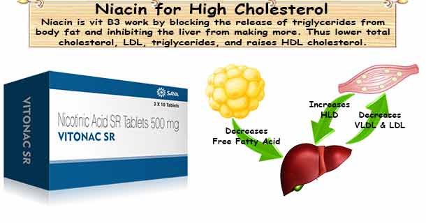 Niacin Cholesterol Lower