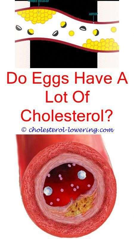 nonhdlcholesterol how long must you fast before a cholesterol test ...