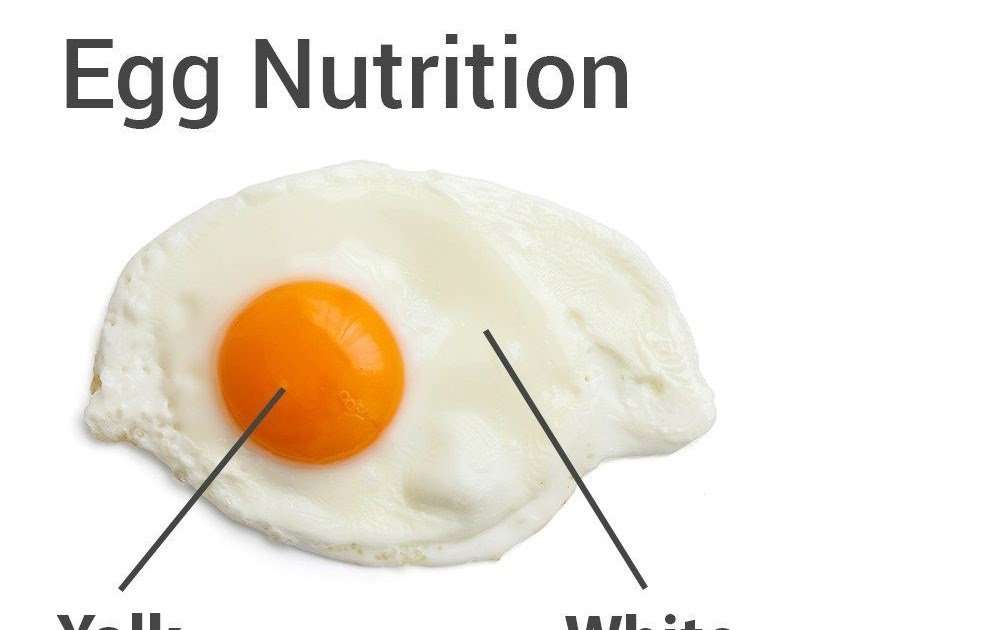 Nutrition Value Egg Yolks