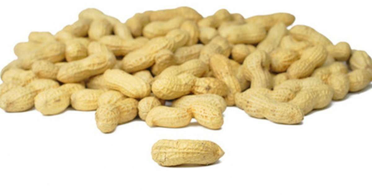 Peanut Oil and Cholesterol
