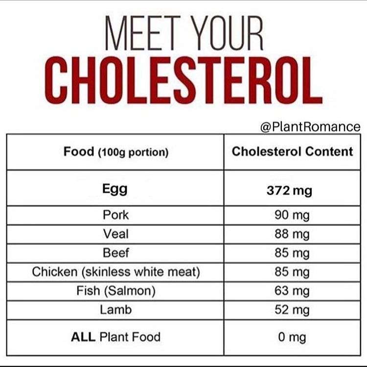 Plant Romance on Instagram: Do you think cholesterol is ...