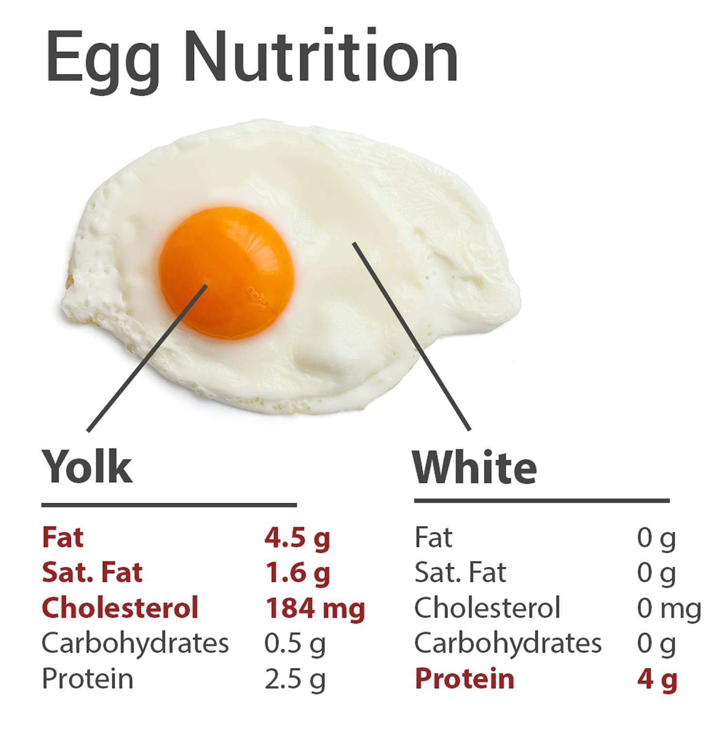 Raw Egg White &  Egg Yolk Nutrition Facts