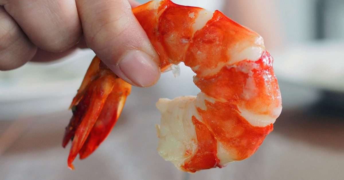 Shrimp and cholesterol: Nutrition and heart health