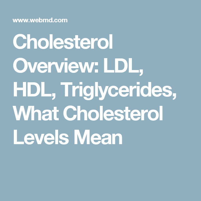 Slideshow: Cholesterol 101