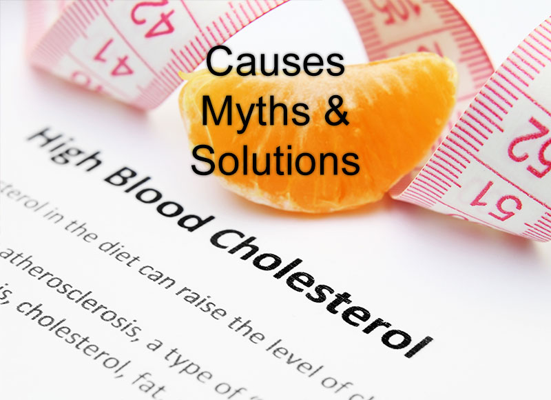 The 4 Primary CAUSES Of High Cholesterol  : HFL by Dr. Sam Robbins