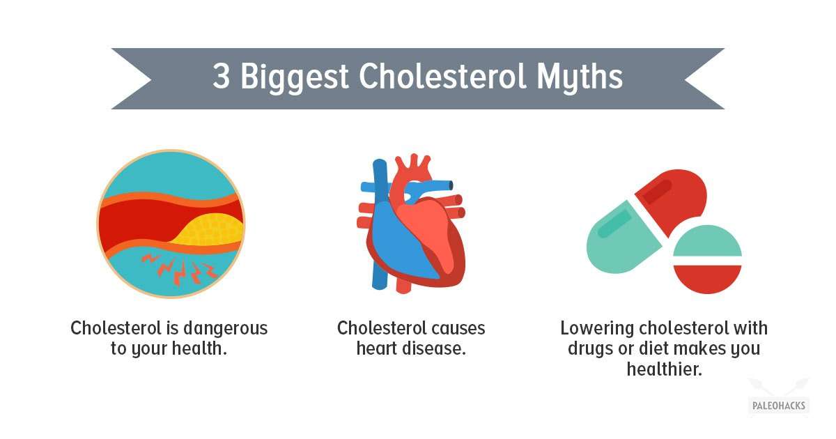The Ultimate Guide to Cholesterol
