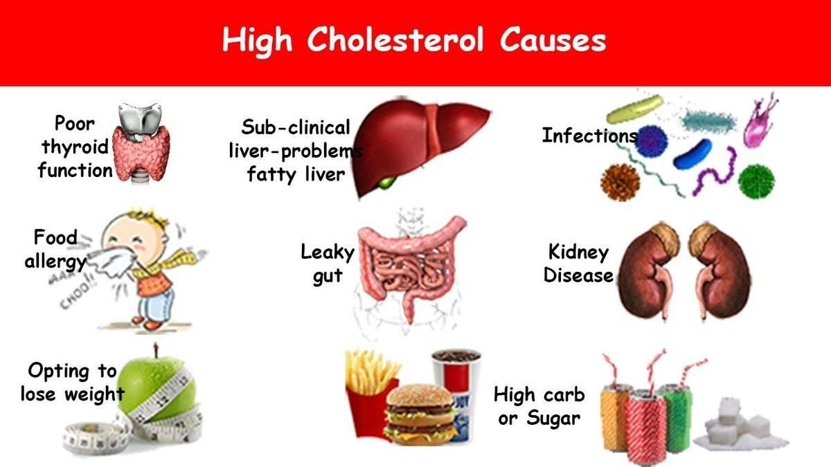 Thiruvelan on Twitter: " Cholesterol Causes #Cholesterol # ...