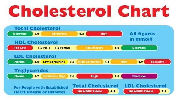 Total Cholesterol Levels Be Too Low, You Must Check its ...