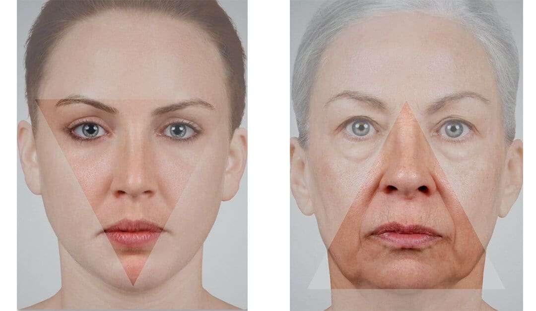 Understanding How &  Why The Face Ages