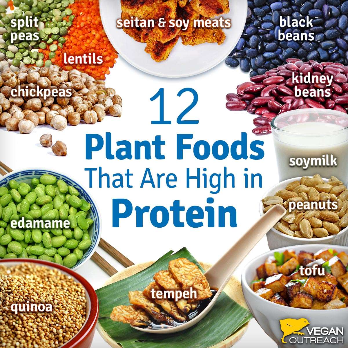 Vegan Protein Sources: Familiar and Unique