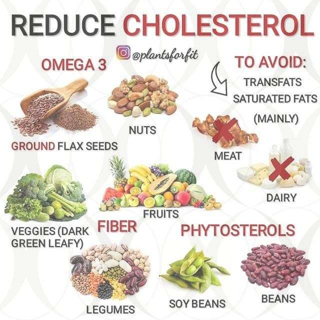 Vegetarian Cholesterol Lowering Recipes