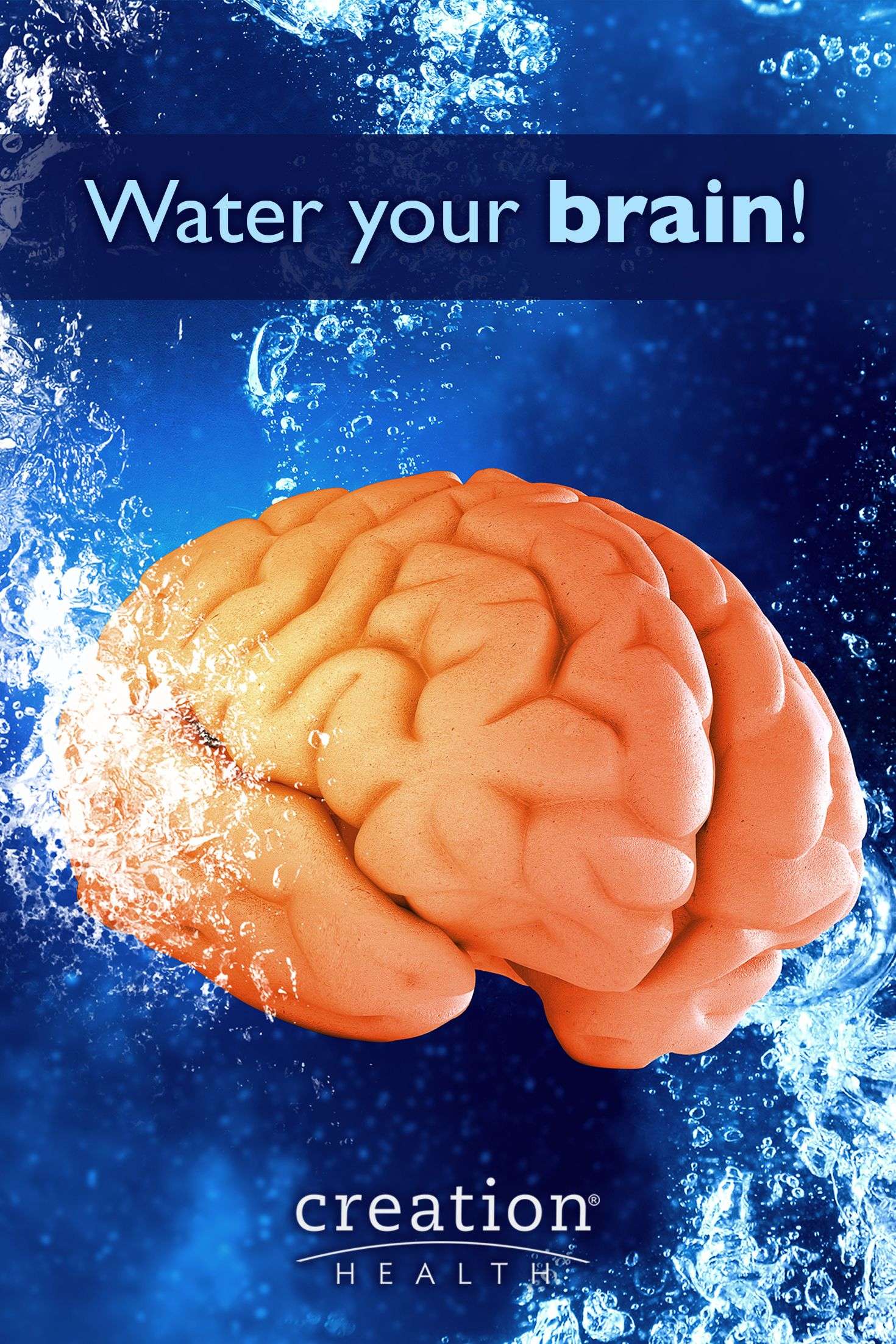 Water makes up more than 80 percent of the brain. When ...