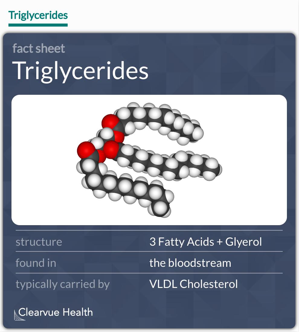 What are the risks of high triglycerides?