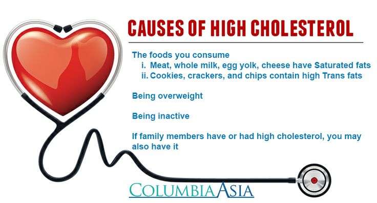 what cause high cholesterol