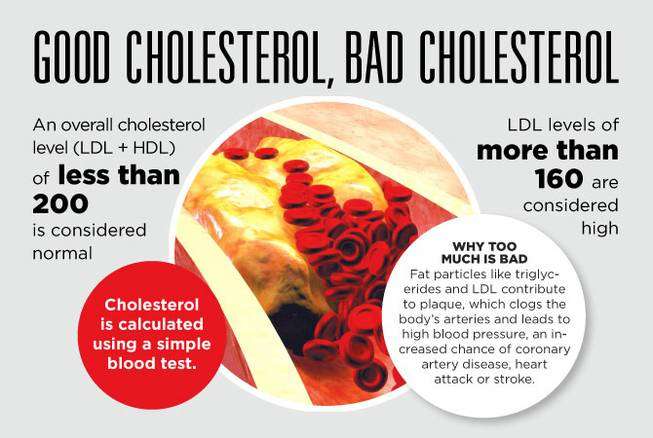What does cholesterol do for the body â Health News
