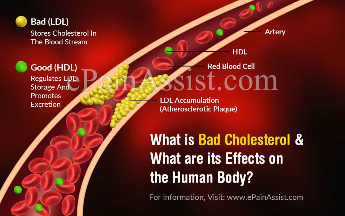 What is Bad Cholesterol and What are its Effects on the ...