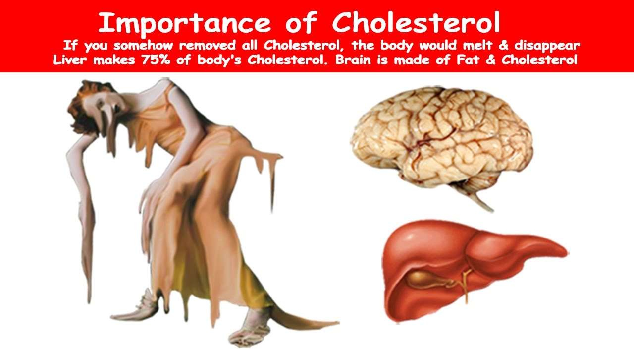 What Is Cholesterol? High Cholesterol Meaning! Hyperlipidemia ...