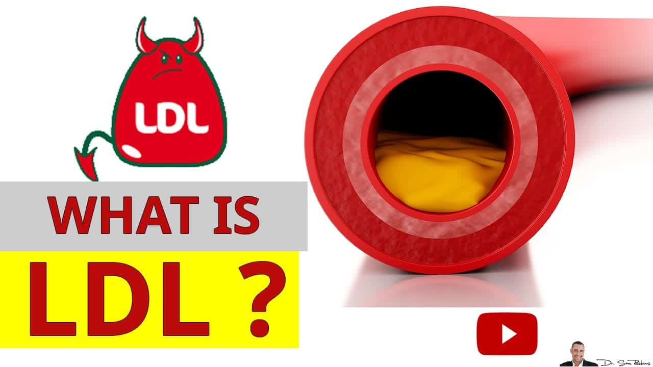 What Is LDL Cholesterol And Why It