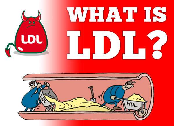 What Is LDL Cholesterol And Why Its Called The BAD Cholesterol