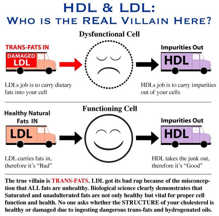 What Is The Ratio Of Ldl To Hdl â Trending Now