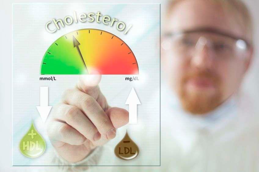 What Should Your Cholesterol Really Be? Actually Everyone ...