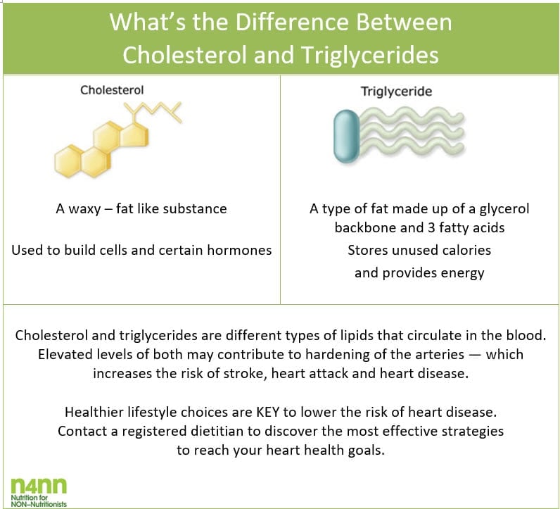 Whats the difference between cholesterol and triglycerides ...