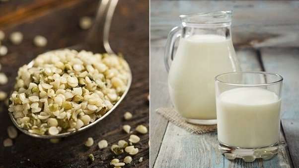 Which milk is best for high cholesterol?