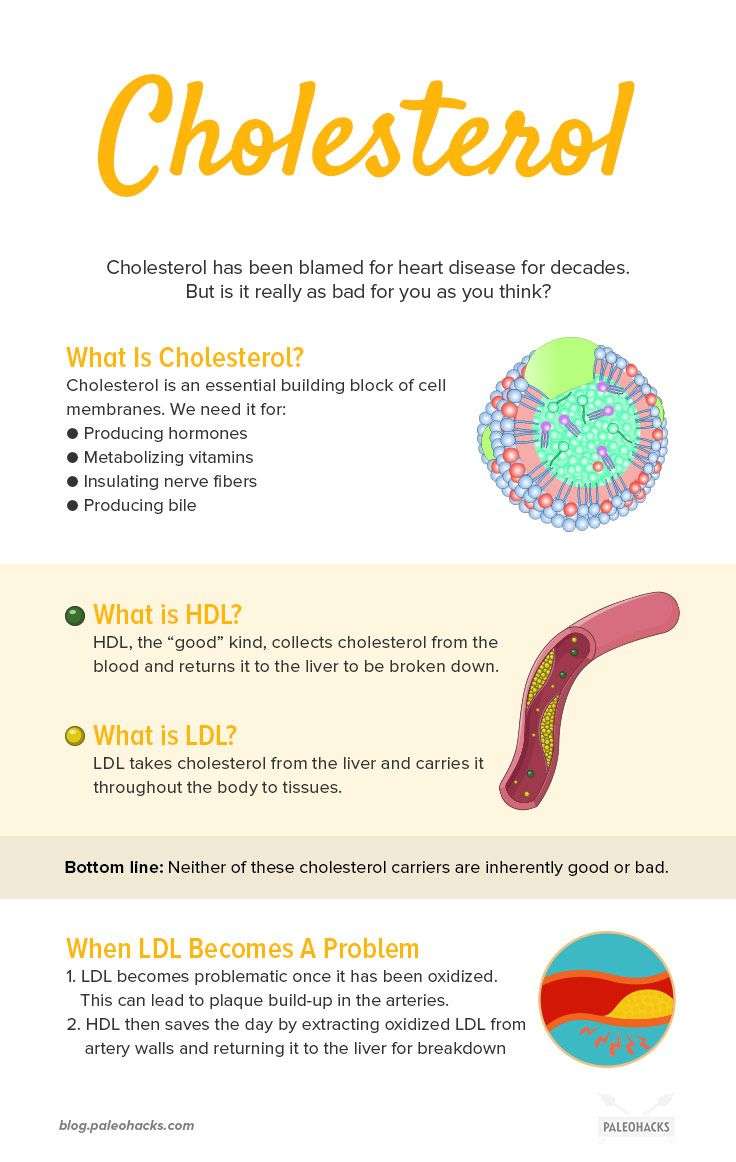 Your Guide to Good vs. Bad Cholesterol